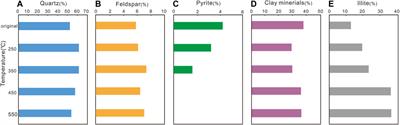 Porosity Evolution In Lacustrine Organic-Matter-Rich Shales With High Claly Minerals Content